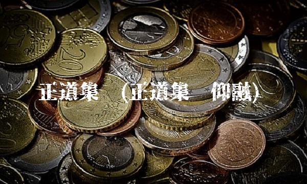 正道集团(正道集团仰融)