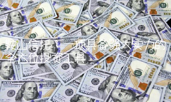 鞍山信托：一项具备强大实力的全方位投资工具