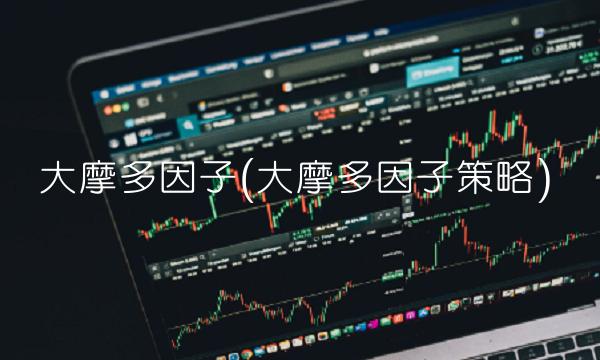 大摩多因子(大摩多因子策略)