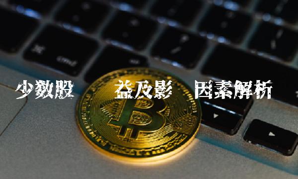 少数股东权益及影响因素解析