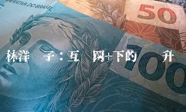 林洋电子：互联网+下的产业升级