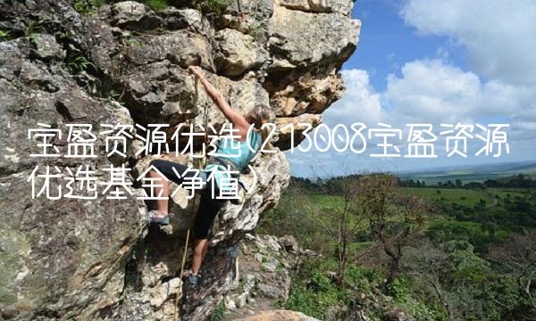宝盈资源优选(213008宝盈资源优选基金净值)