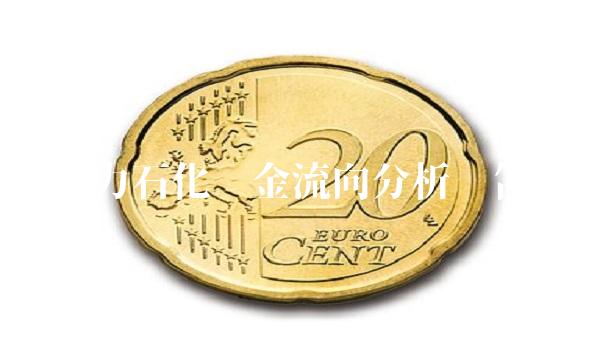 恒力石化资金流向分析报告
