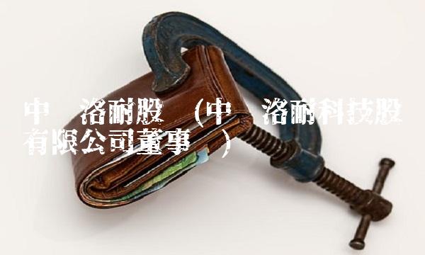 中钢洛耐股吧(中钢洛耐科技股份有限公司董事长)