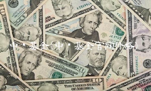 中银基金(中银基金官网价格)