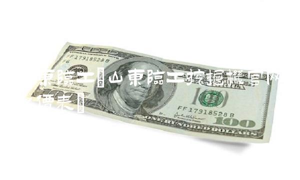 山东临工(山东临工挖掘机官网报价表)(1)