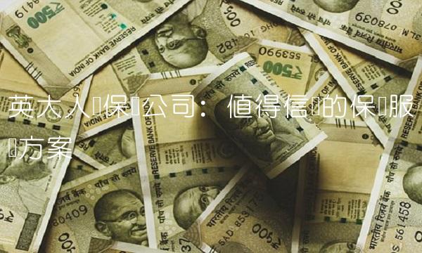 英大人寿保险公司：值得信赖的保险服务方案