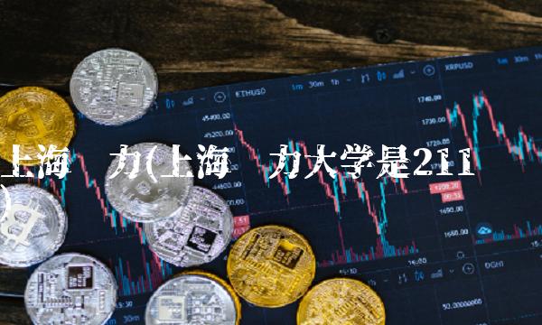 上海电力(上海电力大学是211吗)