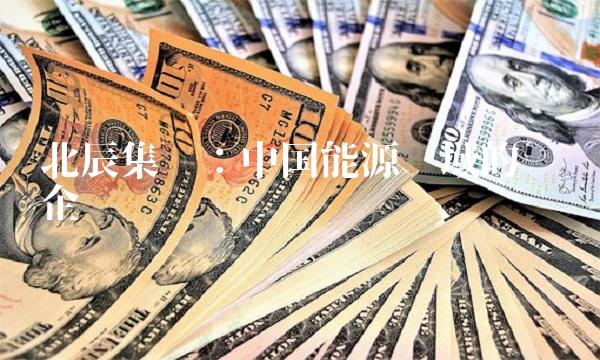 北辰集团：中国能源领域的领军企业