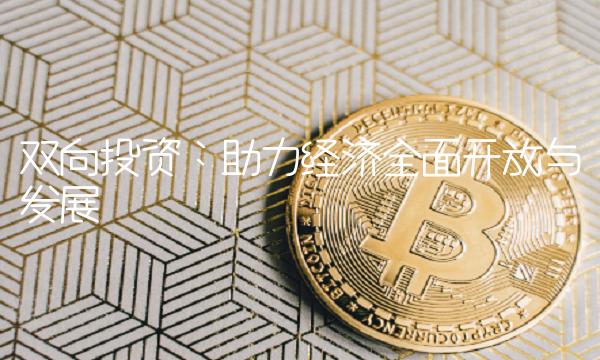 双向投资：助力经济全面开放与发展