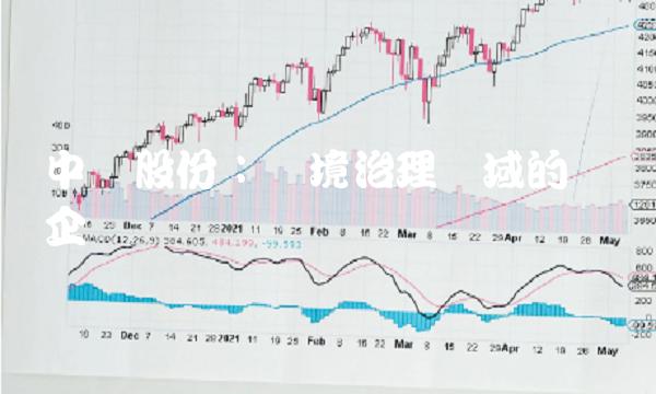 中环股份：环境治理领域的领军企业