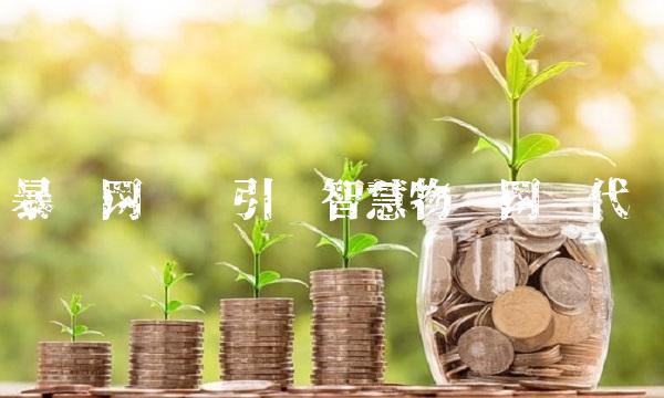 暴风网际——引领智慧物联网时代