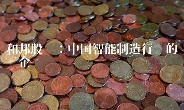 和邦股份：中国智能制造行业的领军企业