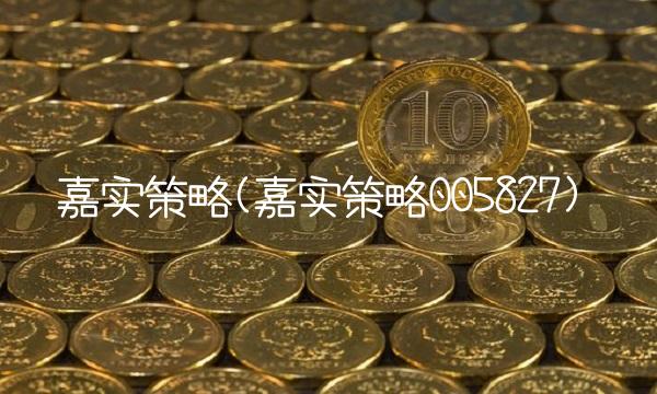 嘉实策略(嘉实策略005827)
