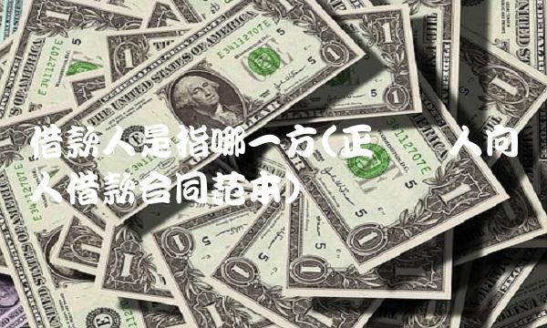 借款人是指哪一方(正规个人向个人借款合同范本)(1)
