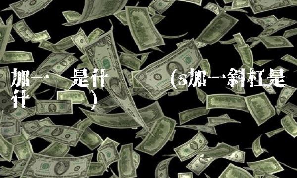 加一竖是什么货币(s加一斜杠是什么货币)(1)