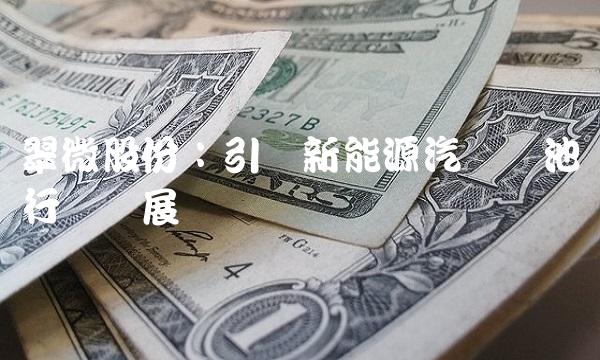 翠微股份：引领新能源汽车电池行业发展