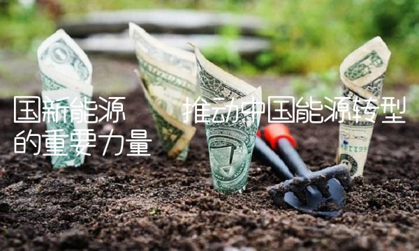 国新能源——推动中国能源转型的重要力量