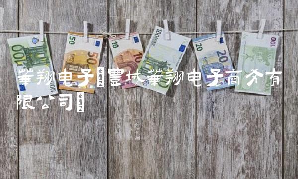 华翔电子(丰城华翔电子商务有限公司) 华翔电子(丰城华翔电子商务有限公司)