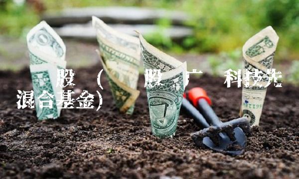 华荣股份(华荣股份广发科技先锋混合基金)