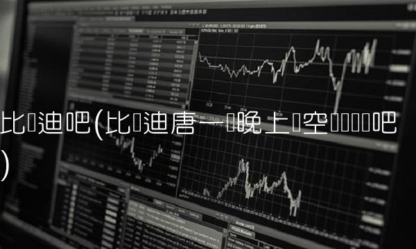 比亚迪吧(比亚迪唐一个晚上开空调没问题吧)