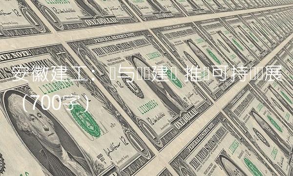 安徽建工：参与产业建设 推进可持续发展（700字）