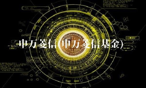 申万菱信(申万菱信基金)