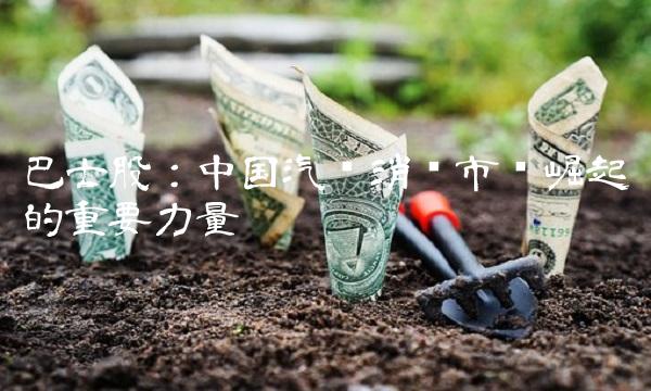 巴士股：中国汽车消费市场崛起的重要力量