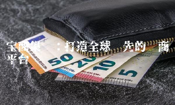宝商集团：打造全球领先的电商平台