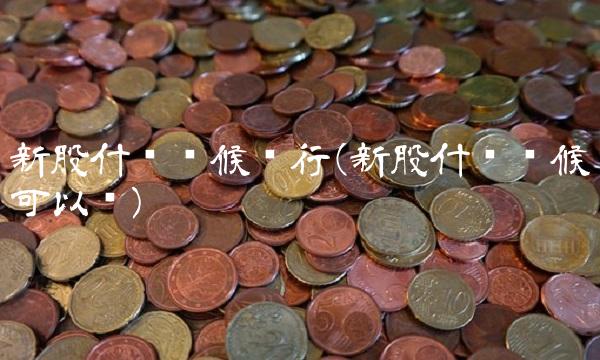 新股什么时候发行(新股什么时候可以买)