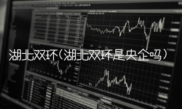 湖北双环(湖北双环是央企吗)