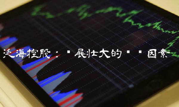 泛海控股：发展壮大的关键因素