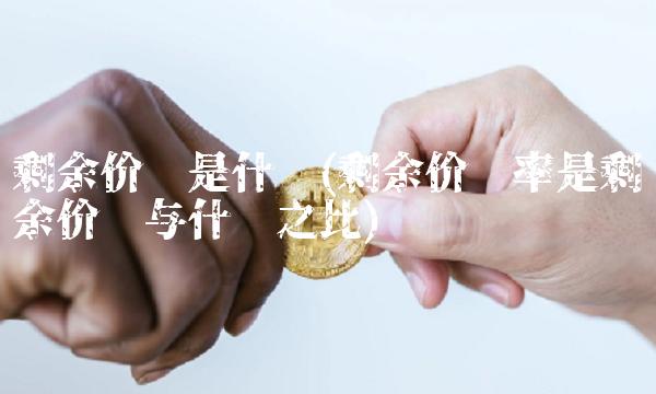 剩余价值是什么(剩余价值率是剩余价值与什么之比)(1)