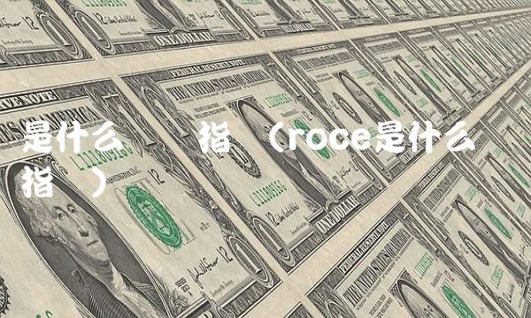 是什么财务指标(roce是什么财务指标)