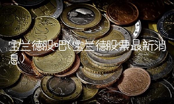 宝兰德股吧(宝兰德股票最新消息)