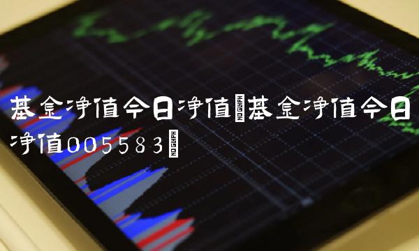 基金净值今日净值(基金净值今日净值005583)