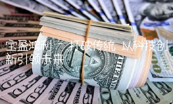宝盈鸿利 - 打破传统 以科技创新引领未来