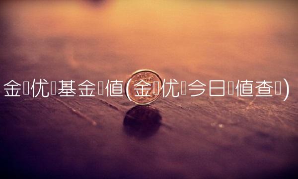 金鹰优选基金净值(金鹰优选今日净值查询)