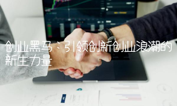 创业黑马：引领创新创业浪潮的新生力量
