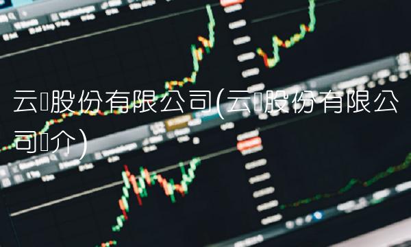 云铝股份有限公司(云铝股份有限公司简介)(1)