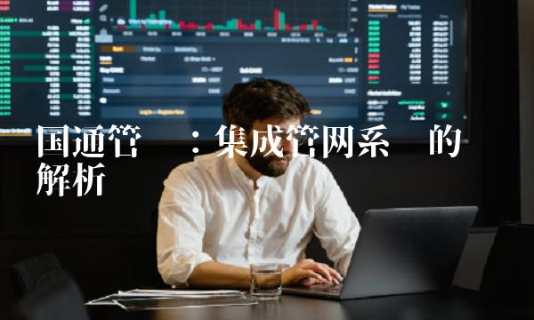 国通管业：集成管网系统的优势解析