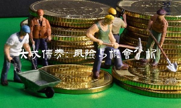 大成债券：风险与机会分析