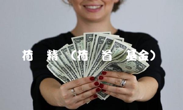 荷银精选(荷银首选基金)
