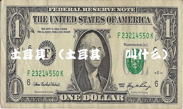 土耳其币(土耳其币种叫什么)