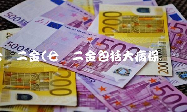 七险二金(七险二金包括大病保险吗)