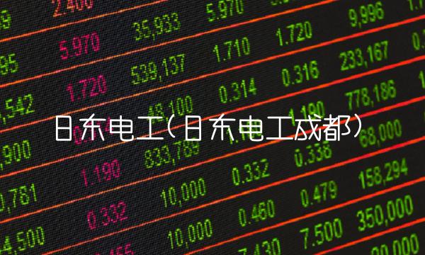 日东电工(日东电工成都)