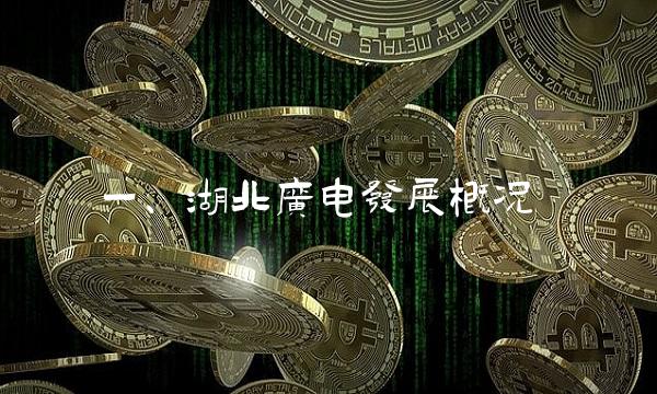 一、湖北广电发展概况