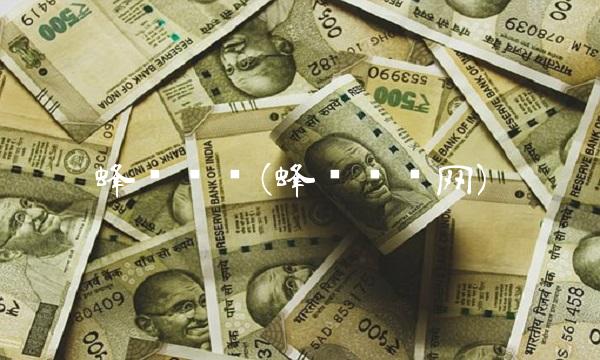 蜂鸟电竞(蜂鸟电竞网)