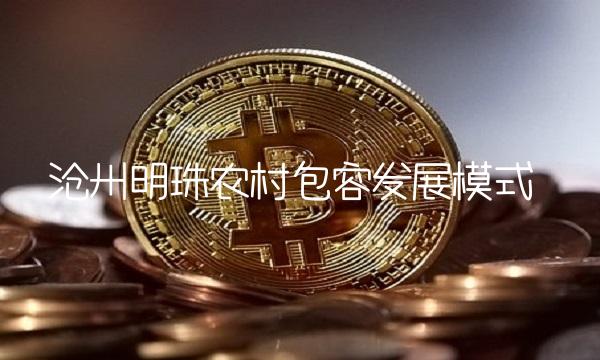 沧州明珠农村包容发展模式