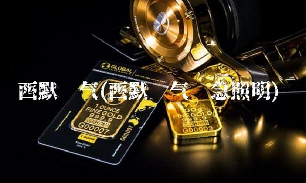 西默电气(西默电气应急照明)
